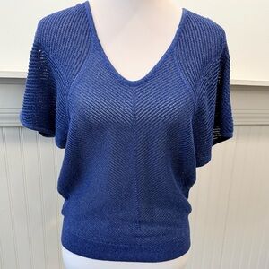 Express Metallic Blue Semi Sheer Knit Sweater Boxy Small Short Sleeve